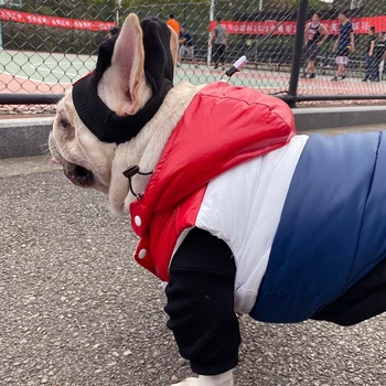 Kış Sıcak Köpek Giysileri Moda Fransız Bulldog Ceket Ceket Küçük Orta Köpekler İçin Giysi Hoodie Sıçrama geçirmez Kar Pet Giyim