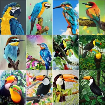 RUOPOTY Çerçeve Boyama By Numbers Yetişkinler İçin Kuşlar Dıy El Sanatları El Sanatları Hayvanlar Akrilik Boya Tuval Üzerine Sayılar Ev Deco İçin