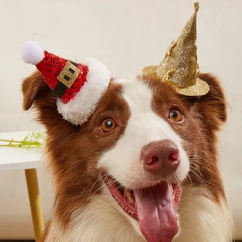 Cadılar bayramı Cadı Pet Köpek Kedi Şapka Giyinmek Headdress Küçük Orta Köpek Cosplay Kostüm Dekoratif Şapka Pet Aksesuarları