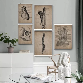 Soyut Vintage İnsan Anatomisi İskelet Baskılar Ve Posterler Anatomik Kafatası duvar sanatı tuval yağlıboya Resim Doktor Ofis Dekor