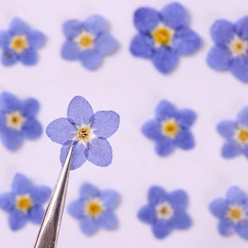 Unutma Beni Kurutulmuş Çiçekler Tırnak Dekorasyon İçin Toptan Ücretsiz Kargo 1 Grup / 30 Adet