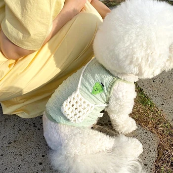 Yavru Meyve Giysileri Yaz Oyuncak Yelek Daha Ayı Serin Jartiyer Pet Pomeranian Kazak İki Ayak Köpek Giysileri