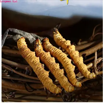 Yüksek Kaliteli Doğa Vahşi Cordyceps Sinensis Sağlık Hediye Tibet Organik Himalaya Cordyceps Sinensis Mutfak Dekorasyon